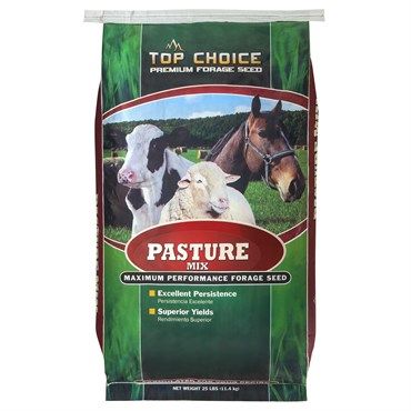 Wetsel Seed™ Permanent Pasture Seed Mix