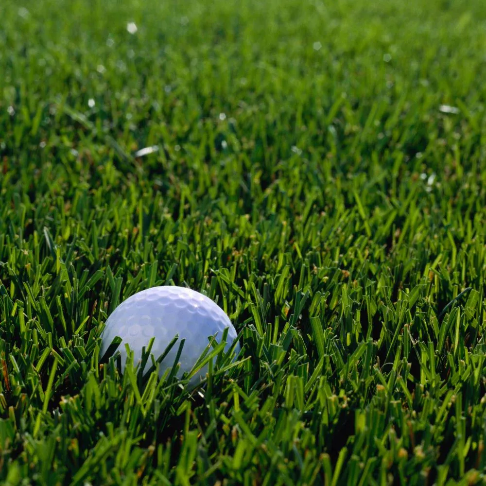 Grand Slam 2 Ryegrass
