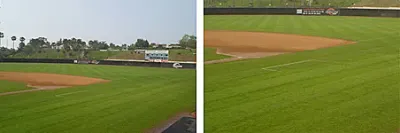 Grand Slam 2 Ryegrass