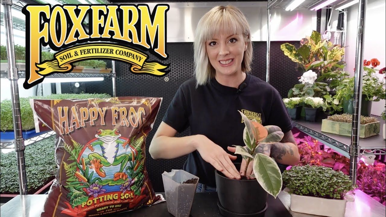 Ocean Forest 1.5 Cu Potting Soil