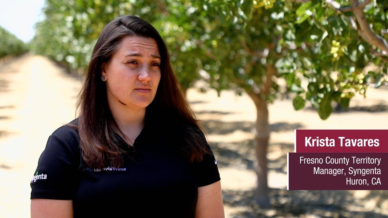 Miravis Duo (Syngenta)