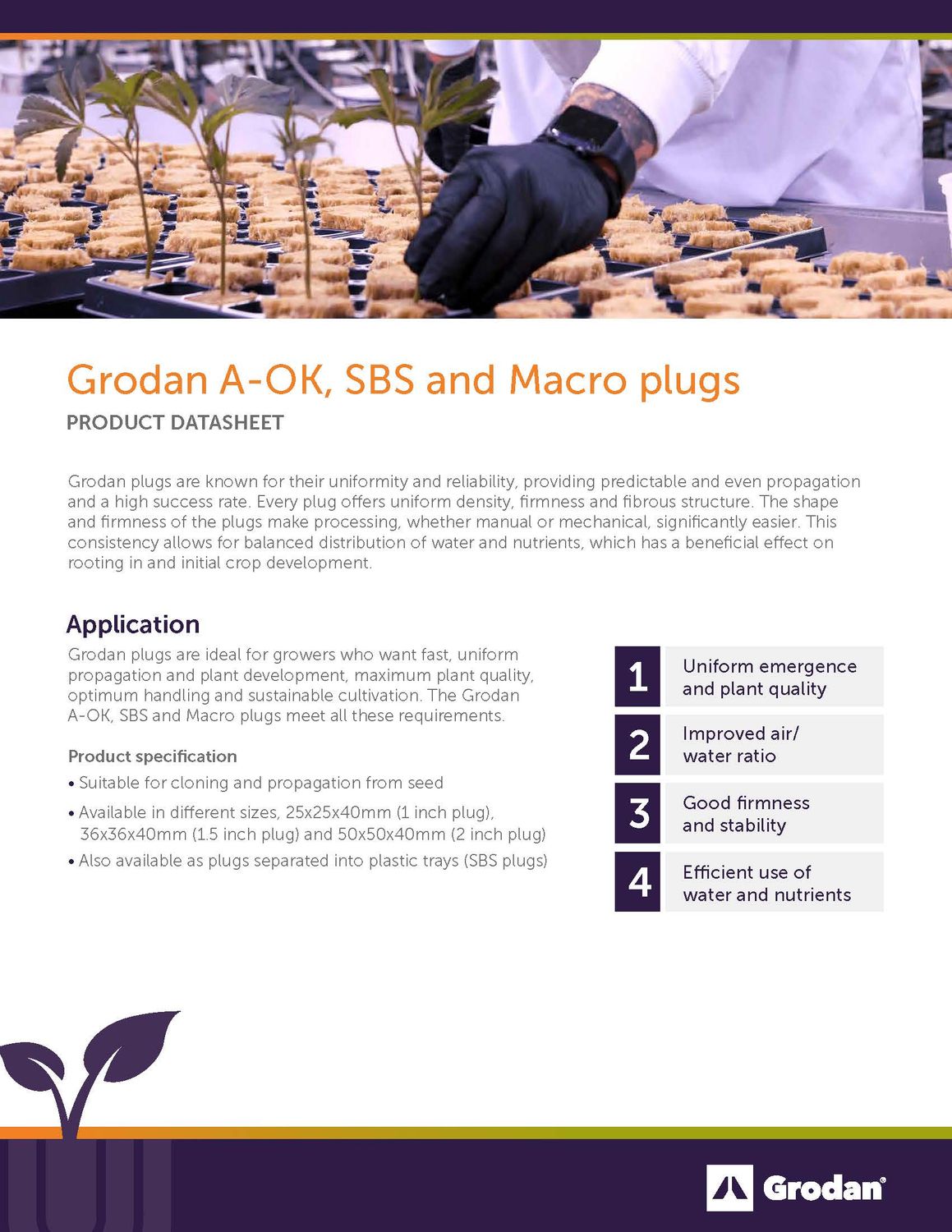 Grodan Round Macro Plugs w/Slit, case of 2000