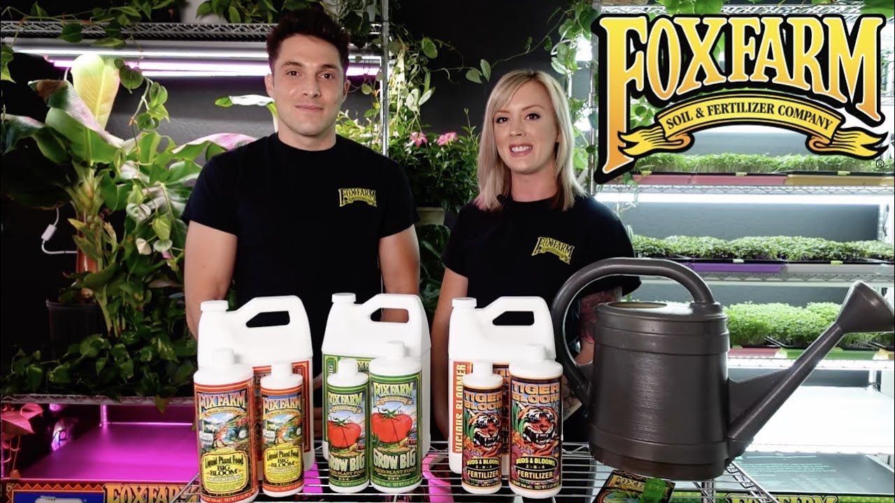FoxFarm® Tiger Bloom® Buds &amp; Blooms Fertilizer 2-8-4