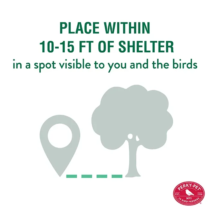 Perky-Pet® Farmhouse Wild Bird Seed Feeder