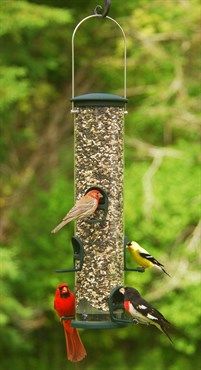 Quick-Clean® Big Tube Feeder