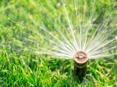 Sprinklers and Water Management