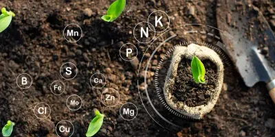 OMRI Organic Based Fertilizers
