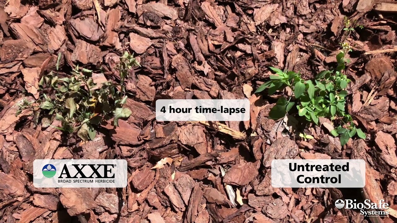 Axxe Herbicide