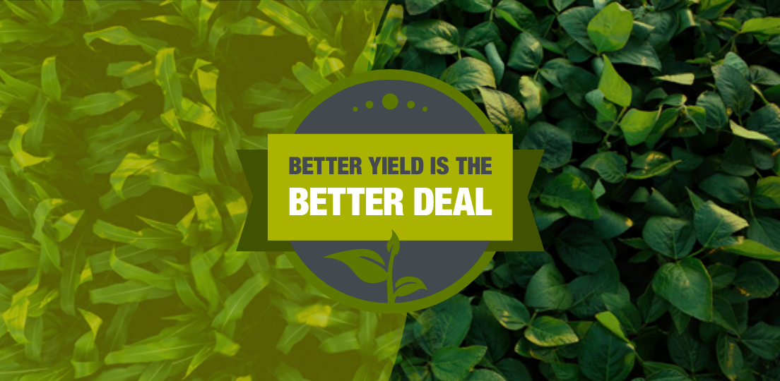 Storen Herbicide (Syngenta)