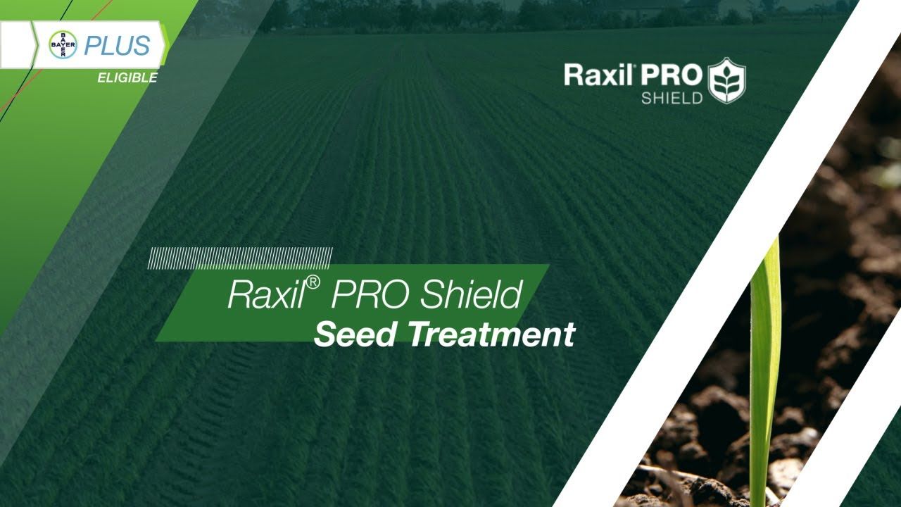 Raxil Pro Shield