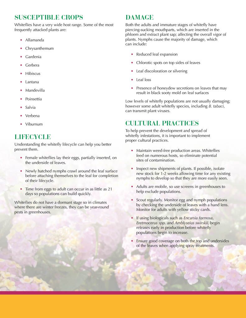 Avid .15 EC (Syngenta)