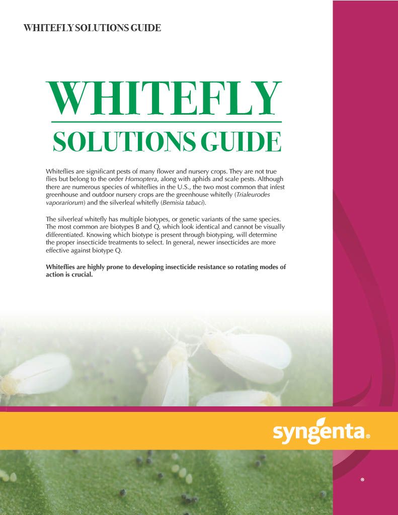 Avid .15 EC (Syngenta)