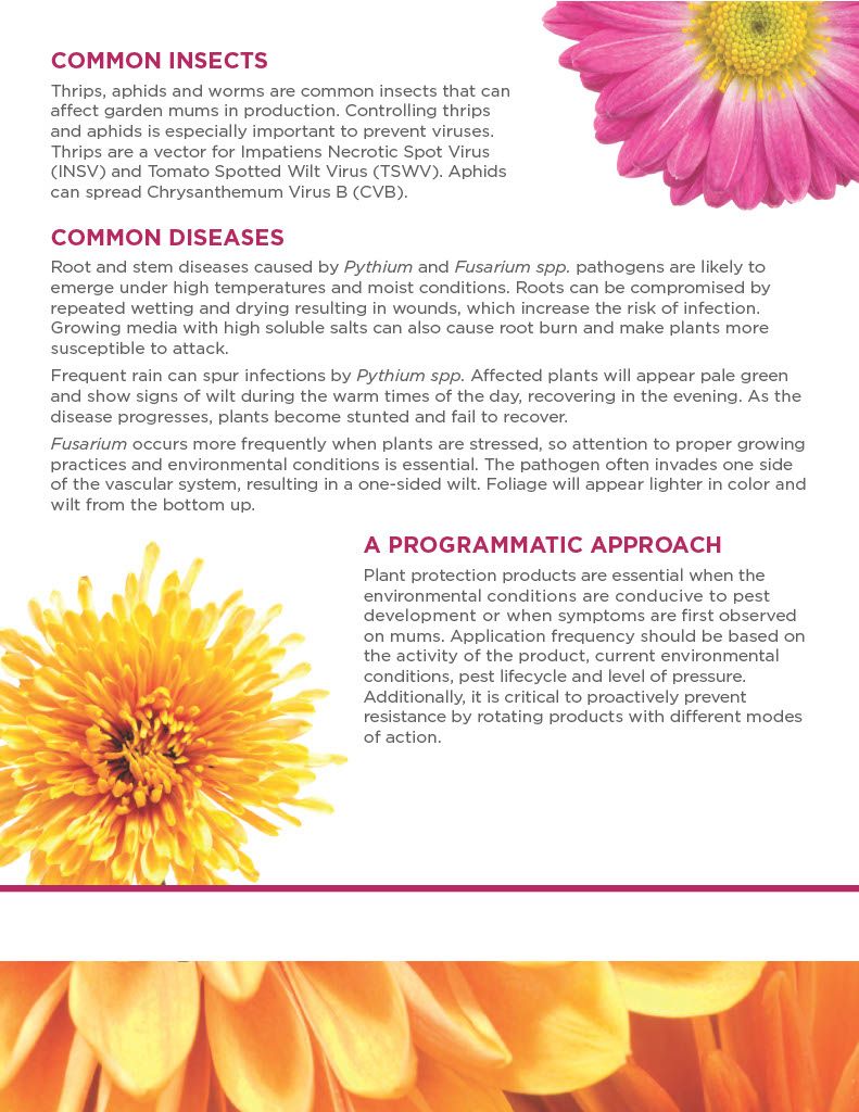 Avid .15 EC (Syngenta)