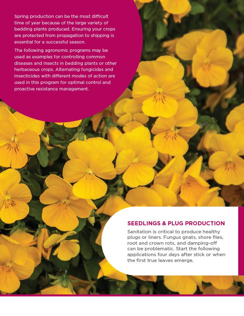 Avid .15 EC (Syngenta)