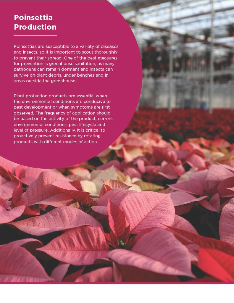 Avid .15 EC (Syngenta)