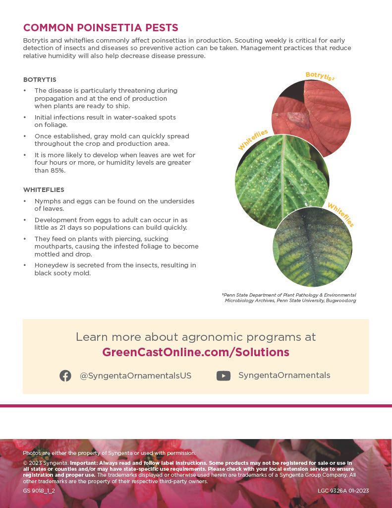 Avid .15 EC (Syngenta)