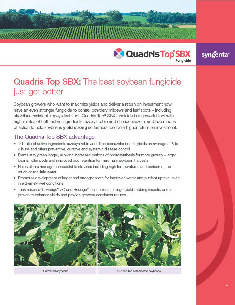 Quadris Top / SBX (Syngenta)
