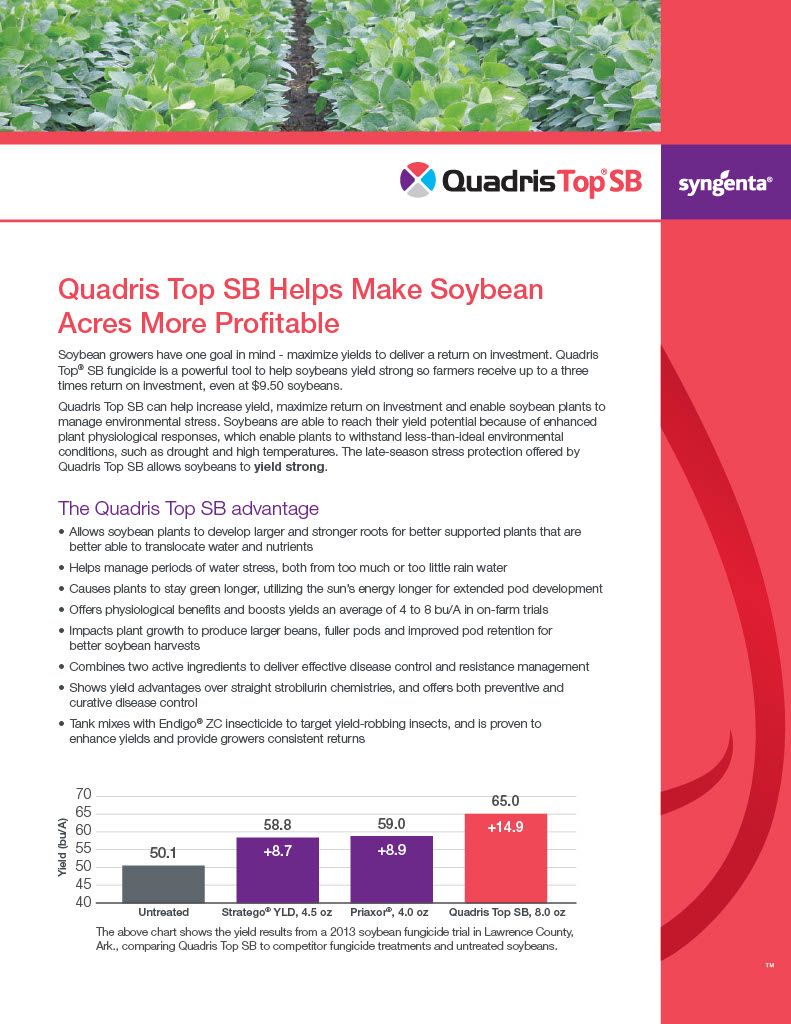 Quadris Top / SBX (Syngenta)