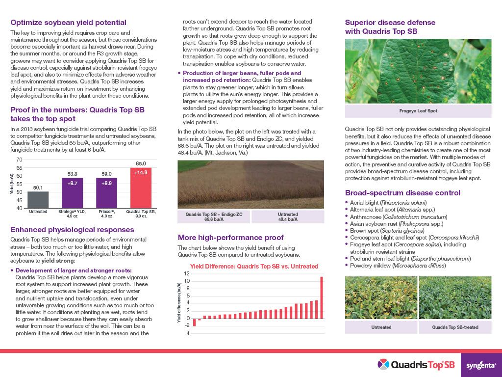 Quadris Top / SBX (Syngenta)