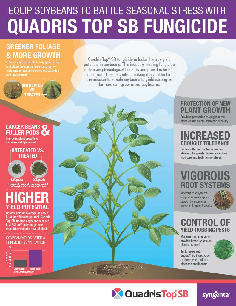 Quadris Top / SBX (Syngenta)