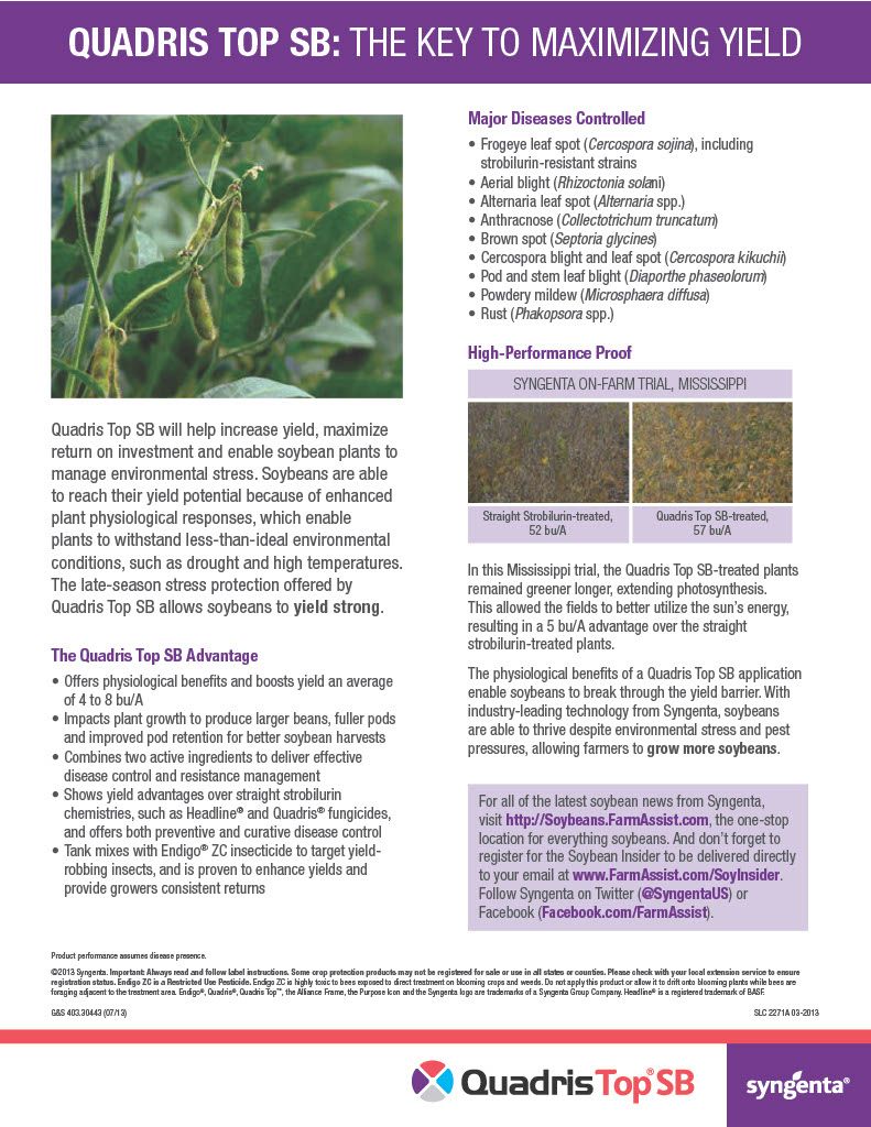 Quadris Top / SBX (Syngenta)