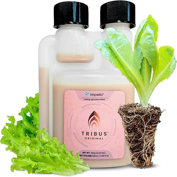 Tribus® Original