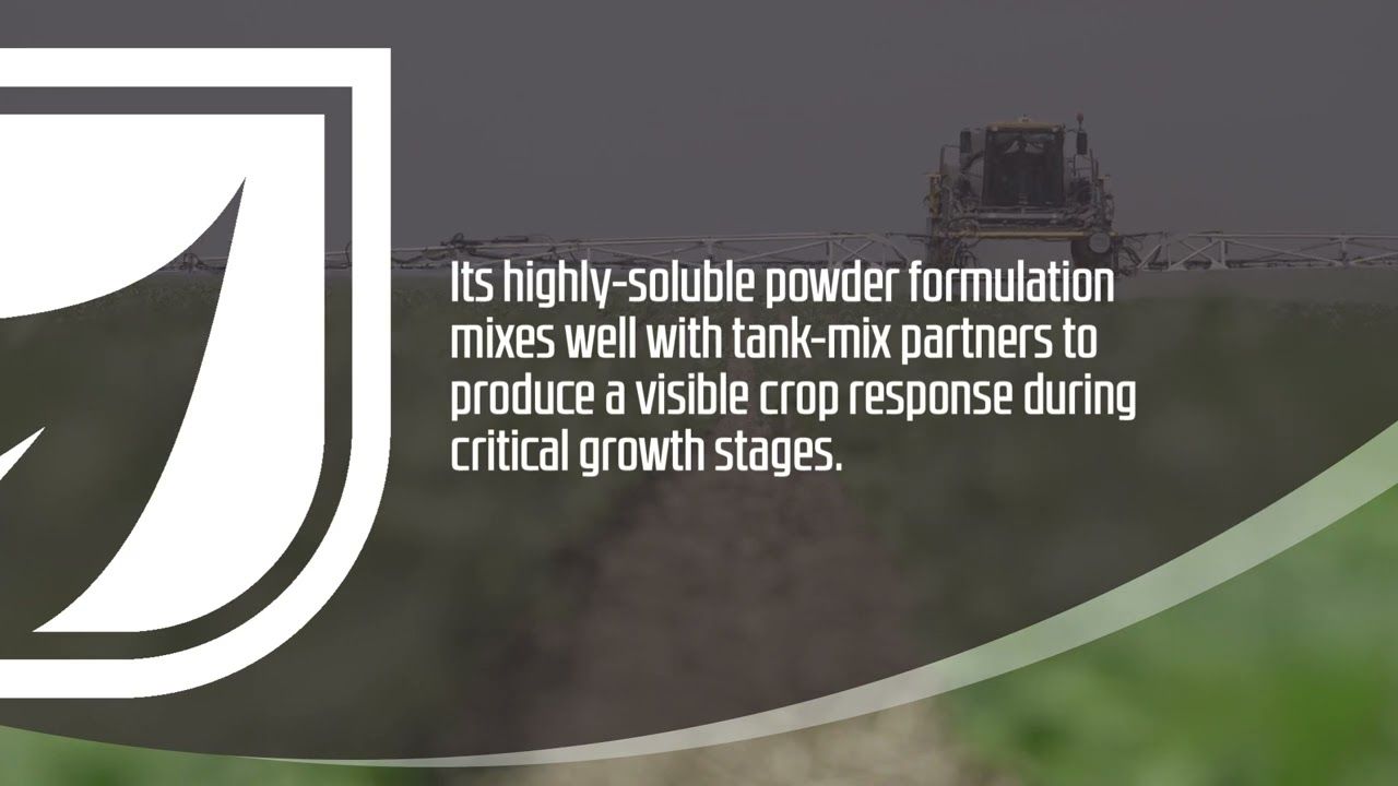 Ele Max Sulfur EZ (Helena Agri)