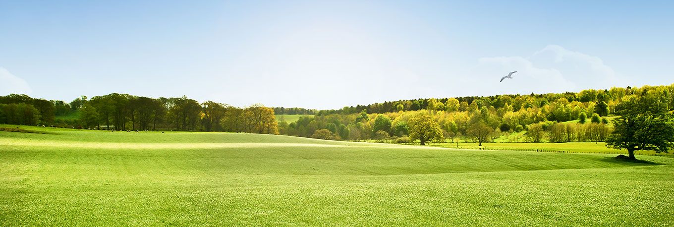 Coron 28-0-0 (Helena Ag)