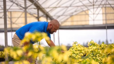 Coron 28-0-0 (Helena Ag)