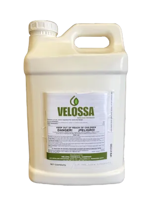Velossa (Helena Agri)