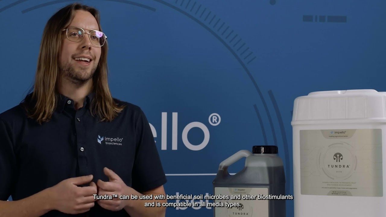 Tundra (Impello Biosciences)