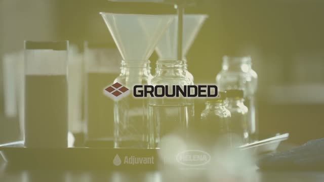 Grounded (Helena Ag)