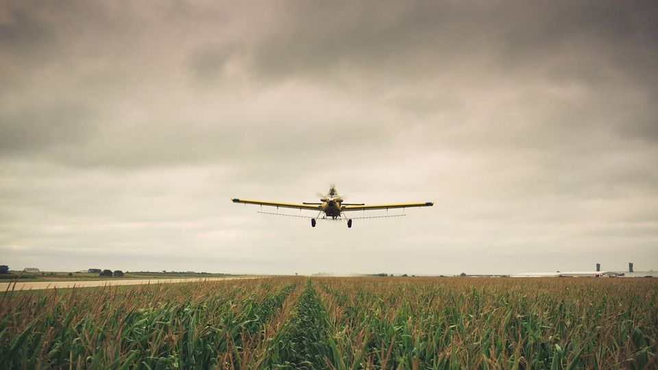 Grounded (Helena Ag)