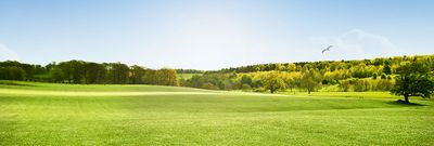 Coron 14-2-14 (Helena Ag)