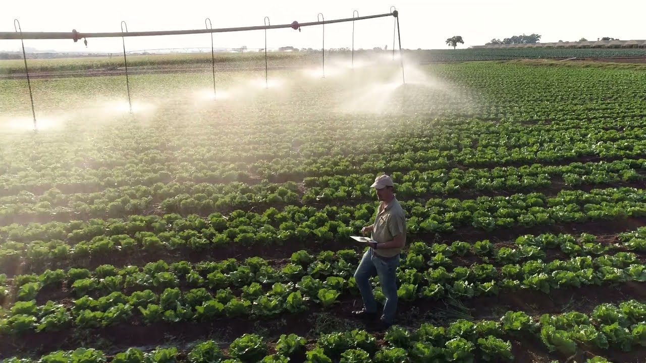 Coron Metra 25 (Helena Ag)