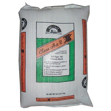 Class Act 2 Tall Fescue Class Act 2 Tall Fescue
