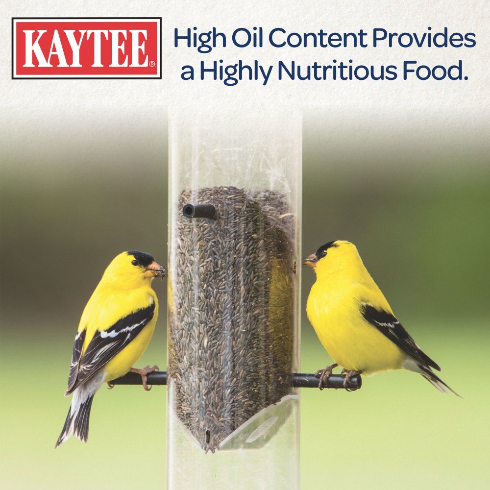 Kaytee Nyjer®  Thistle Seed