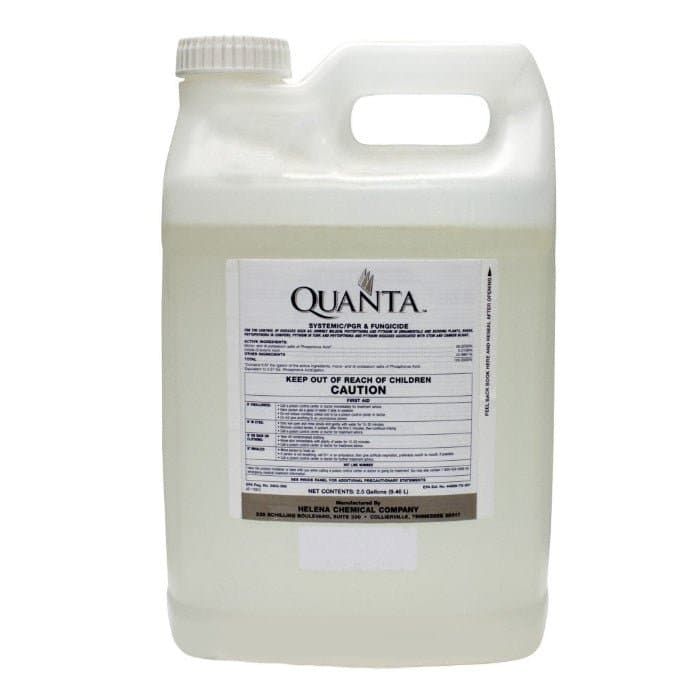 Quanta (Helena Agri)