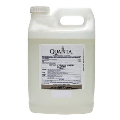 Quanta (Helena Agri)