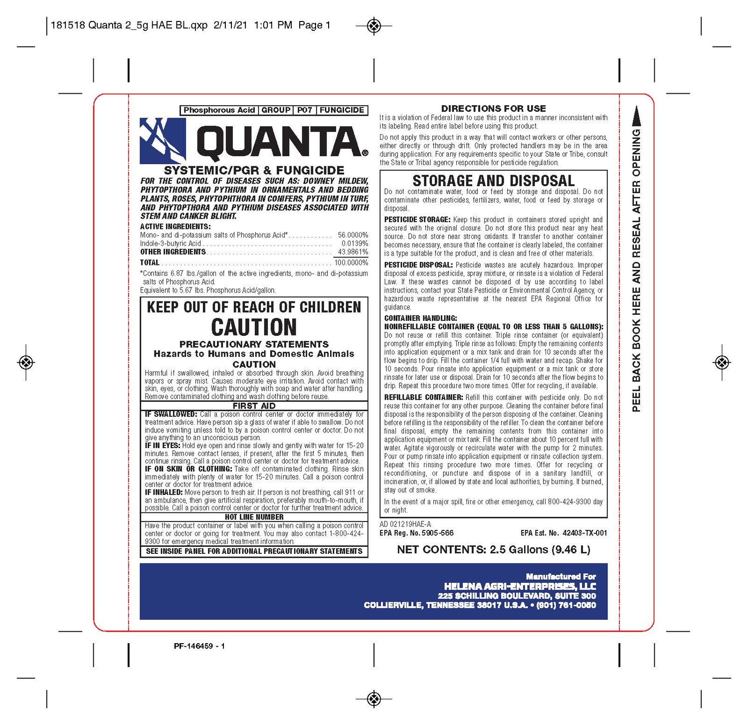 Quanta (Helena Agri)