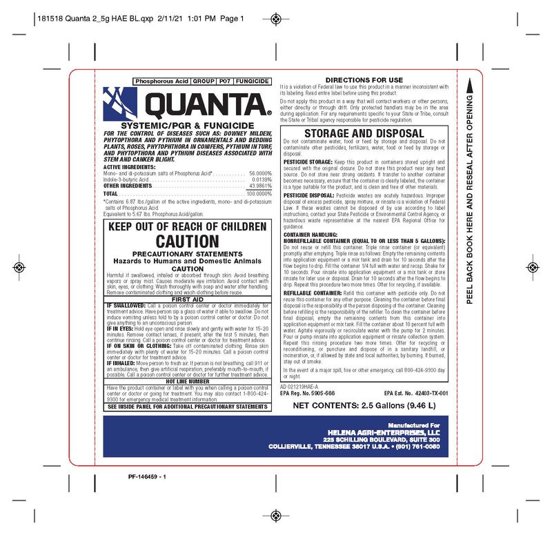 Quanta (Helena Agri)