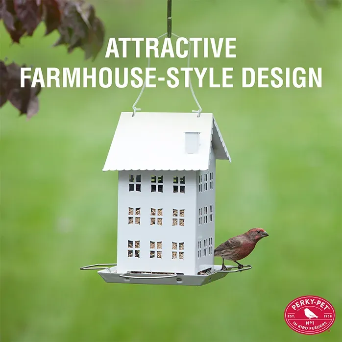 Perky-Pet® Farmhouse Wild Bird Seed Feeder