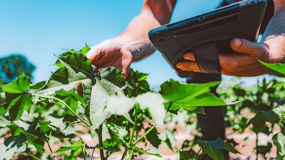 Coron Metra 28 (Helena Ag)