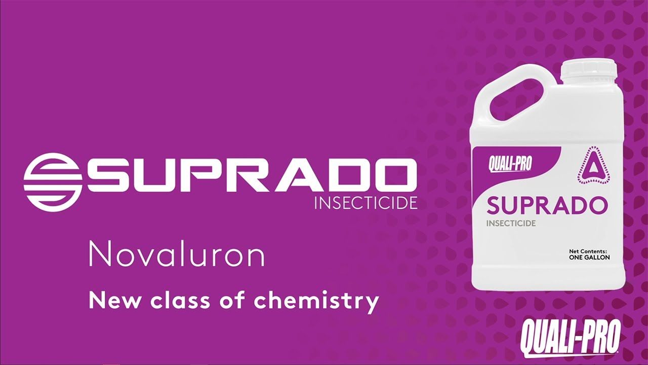 Suprado (Quali Pro)
