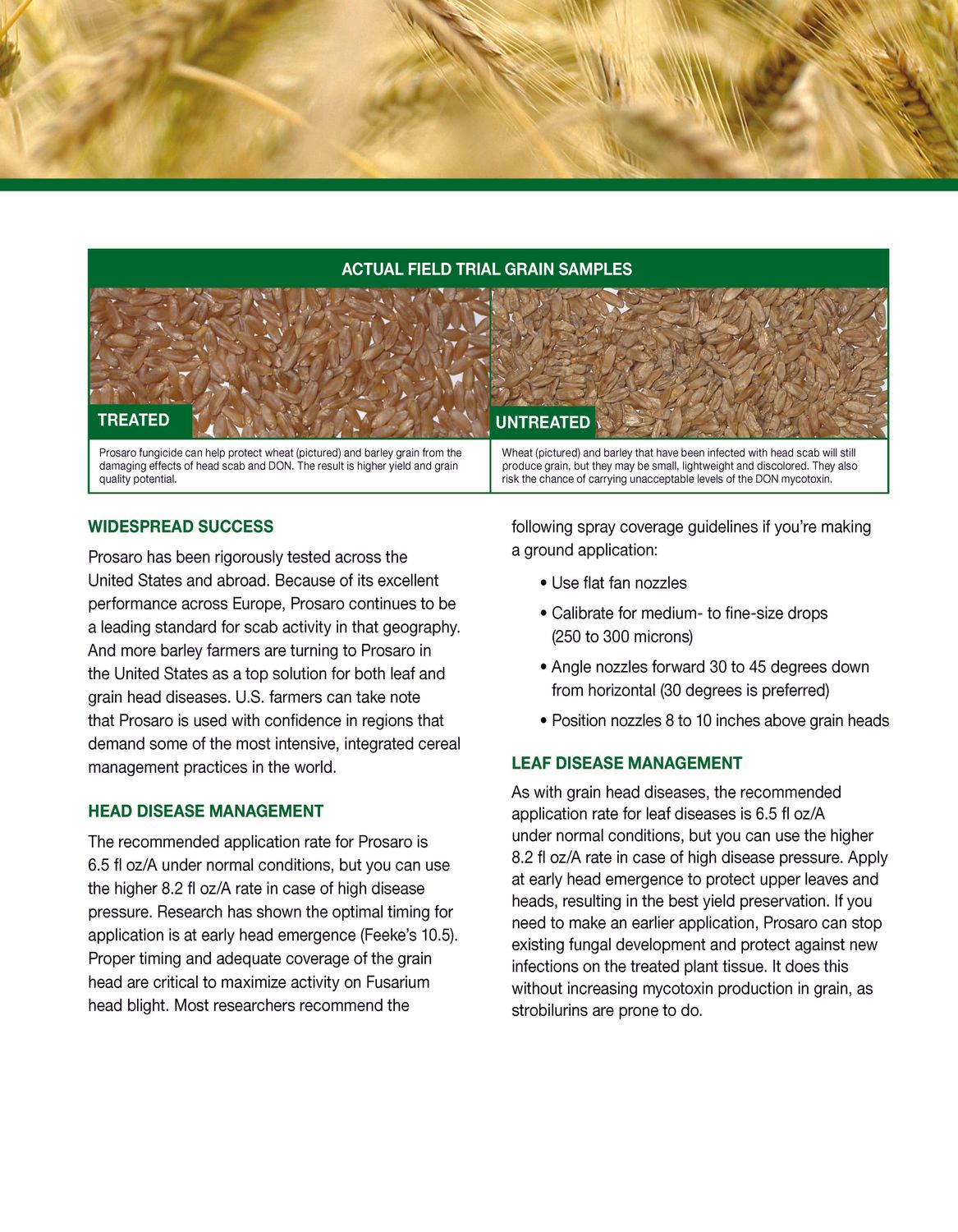 Prosaro SC 421 (Bayer)