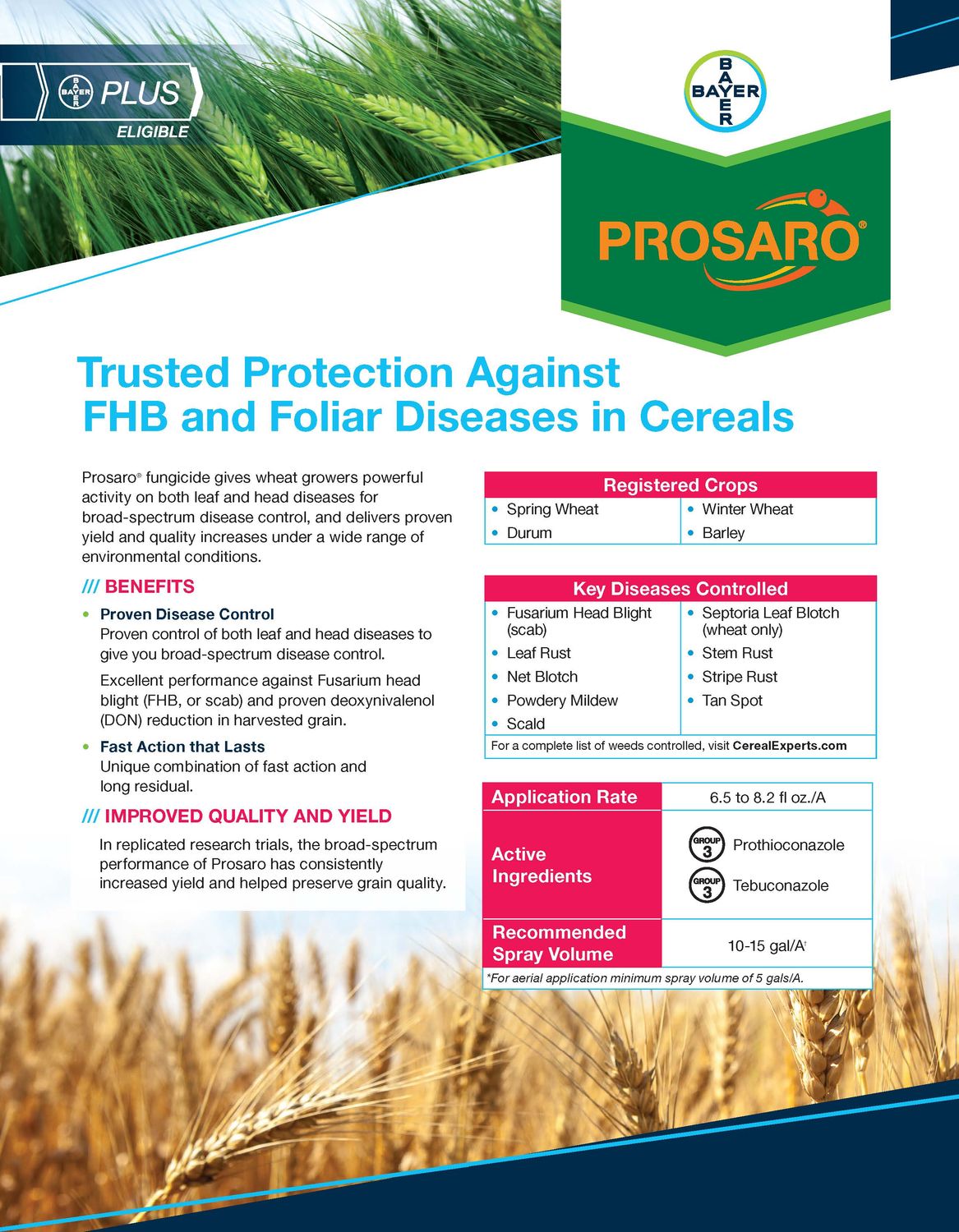 Prosaro SC 421 (Bayer)