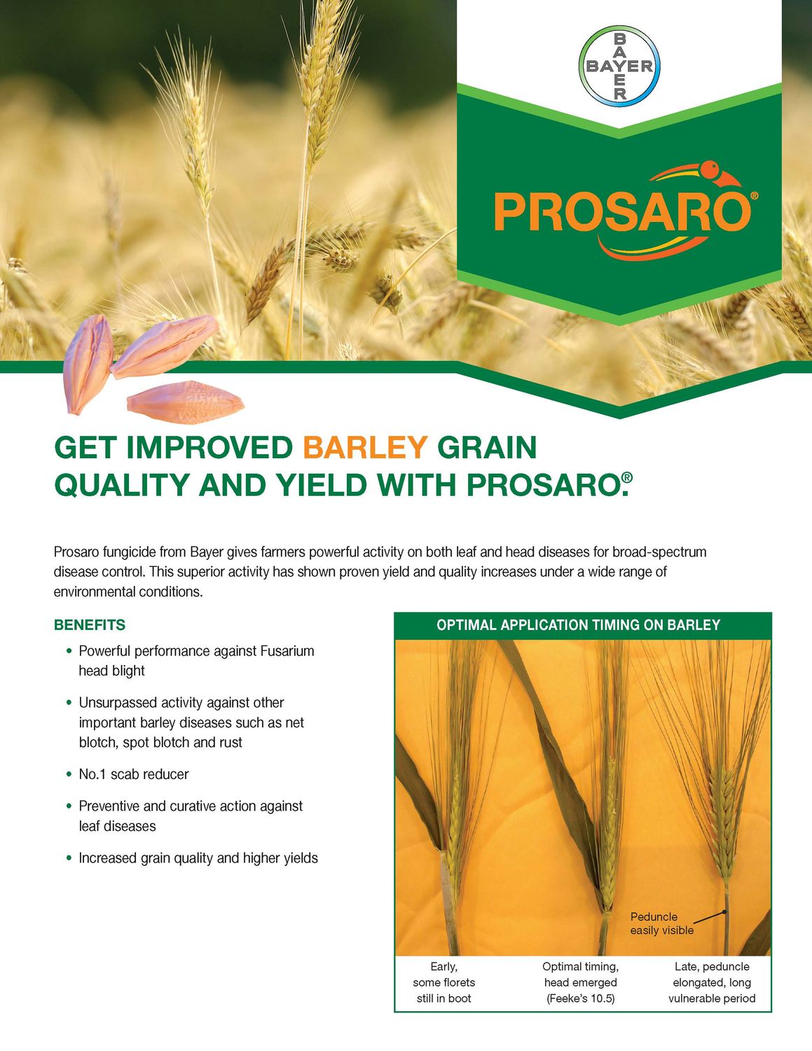 Prosaro SC 421 (Bayer)