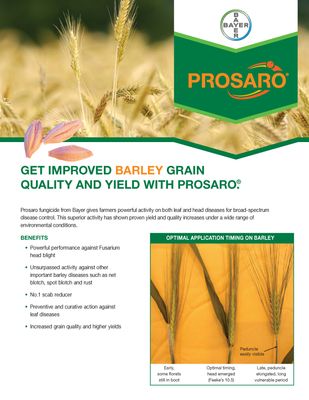 Prosaro SC 421 (Bayer)