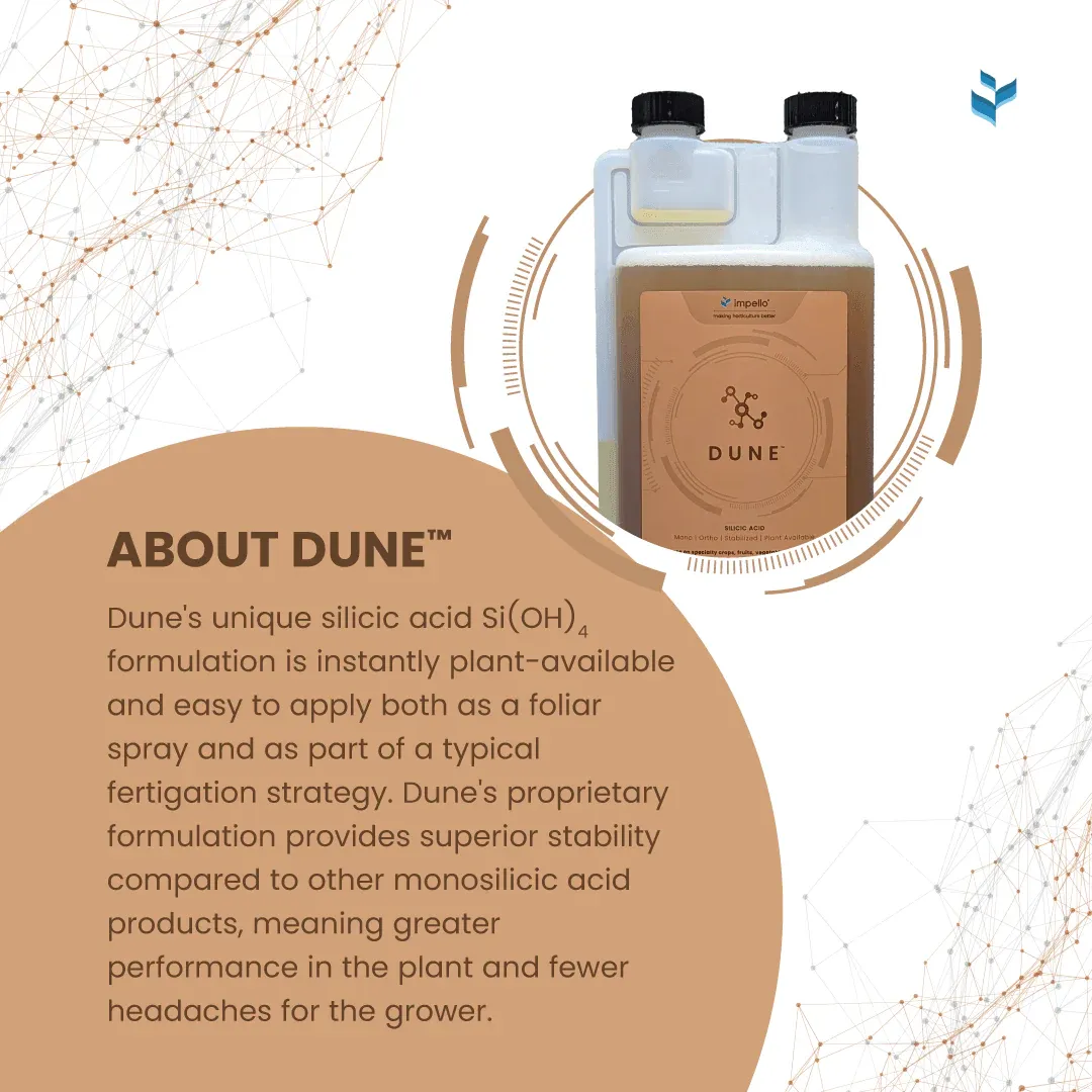 Dune (Impello Biosciences)