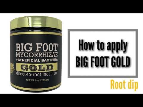 Big Foot Mycorrhizae Gold + Beneficial Bacteria